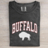 Vintage Buffalo Football T-shirt